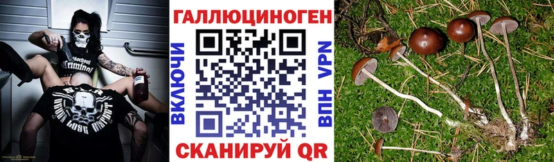 сайты даркнета какой сайт  Ноябрьск  Галлюциногенные грибы ЛСД 