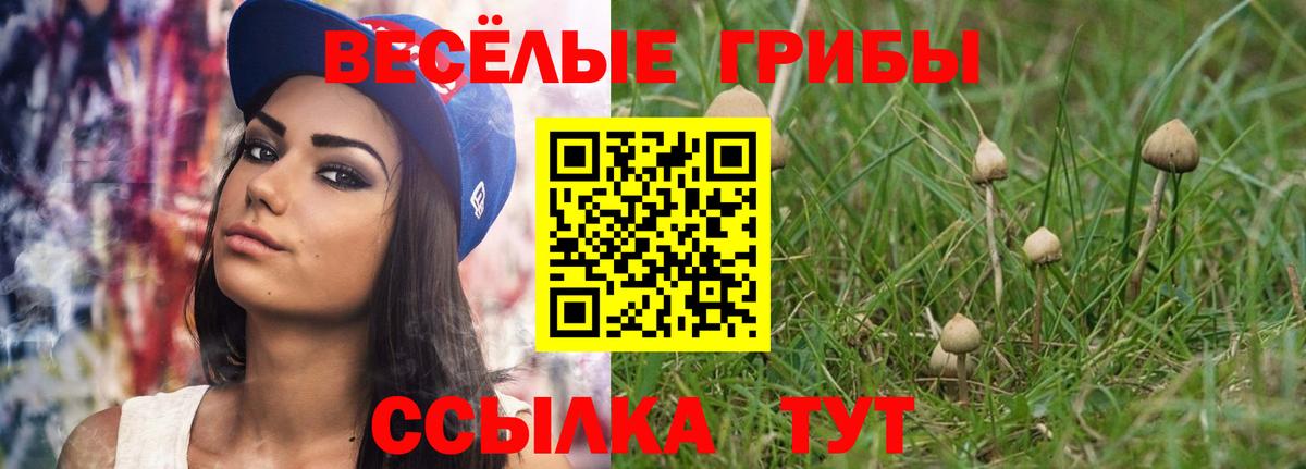 Галлюциногенные грибы Psilocybine cubensis  Вход с VPN  Псилоцибиновые грибы мицелий  Ноябрьск 